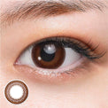 SEED Eye Coffret 1 Day UV M Clear Accent - Rich Make (For Astigmatism)-Colored Contacts-UNIQSO Canada