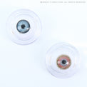 Sweety 3 Tones Honey (1 lens/pack)-Colored Contacts-UNIQSO Canada