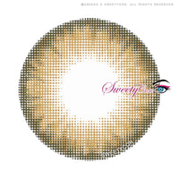 Sweety Bella Yellow Brown (1 lens/pack)-Colored Contacts-UNIQSO Canada