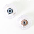 Sweety Butterfly Brown (1 lens/pack)-Colored Contacts-UNIQSO Canada