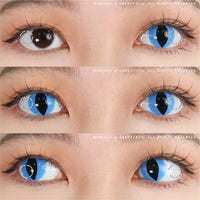Sweety Crazy Aqua Cat (1 lens/pack)-Crazy Contacts-UNIQSO Canada
