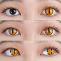Sweety Crazy Gold Demon Eye / Cat Eye (1 lens/pack)-Crazy Contacts-UNIQSO Canada