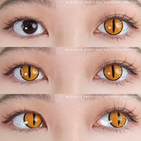 Sweety Crazy Gold Demon Eye / Cat Eye (1 lens/pack)-Crazy Contacts-UNIQSO Canada