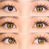 Sweety Crazy Gold Demon Eye / Cat Eye (New) (1 lens/pack)-Crazy Contacts-UNIQSO Canada