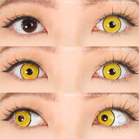 Sweety Crazy Mad Hatter - 1 Day Disposable (1 lens/pack)-Crazy Contacts-UNIQSO Canada