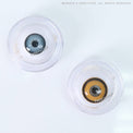 Sweety Crazy Mystic Sun (1 lens/pack)-Crazy Contacts-UNIQSO Canada
