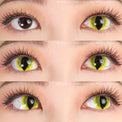 Sweety Crazy UV Yellow Cat (1 lens/pack)-Crazy Contacts-UNIQSO Canada