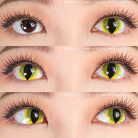 Sweety Crazy UV Yellow Cat (1 lens/pack)-Crazy Contacts-UNIQSO Canada