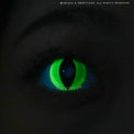 Sweety Crazy UV Yellow Cat (1 lens/pack)-Crazy Contacts-UNIQSO Canada
