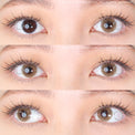 Sweety Hidrocor II Brown (1 lens/pack)-Colored Contacts-UNIQSO Canada