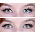 Sweety Hidrocor II Brown (1 lens/pack)-Colored Contacts-UNIQSO Canada