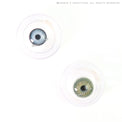Sweety Magnificent Amazonia Green (1 lens/pack)-Colored Contacts-UNIQSO Canada