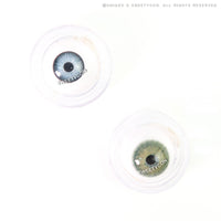 Sweety Magnificent Amazonia Green (1 lens/pack)-Colored Contacts-UNIQSO Canada