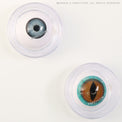 Sweety Mini Sclera Brown Lizard (1 lens/pack)-Mini Sclera Contacts-UNIQSO Canada