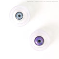 Sweety Mystic Wing Violet (1 lens/pack)-Colored Contacts-UNIQSO Canada