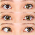 Sweety Queen Brown (1 lens/pack)-Colored Contacts-UNIQSO Canada