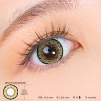 Sweety Queen Brown (1 lens/pack)-Colored Contacts-UNIQSO Canada
