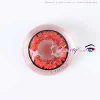 Sweety Queen Wine Red (1 lens/pack)-Colored Contacts-UNIQSO Canada