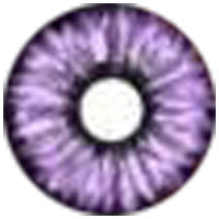 Sweety Violet Sclera Contacts - Elf Purple (1 lens/pack)-Sclera Contacts-UNIQSO Canada