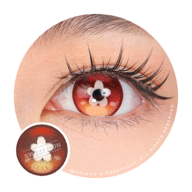 Sweety x Eyesinger Orange Clover (2 lenses/pack)-Colored Contacts-UNIQSO Canada