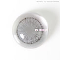 Urban Layer Palvin Gray (1 lens/pack)-Colored Contacts-UNIQSO