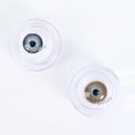 Western Eyes Nada Peace Brown (1 lens/pack) [Exp: 06/2027]-Colored Contacts-UNIQSO Canada