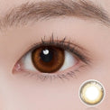 ii99 Monthy Disposable - Folia Brown (2 Lenses/pack)-Colored Contacts-UNIQSO Canada