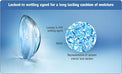 1-Day Acuvue Moist (30 lenses/pack)-Clear Contacts-UNIQSO Canada