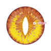 Sweety Crazy Mystery Orb Orange (1 lens/pack)-Crazy Contacts-UNIQSO