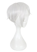 Cosplay Wig - Land of the Lustrous-Antarcticite-Cosplay Wig-UNIQSO