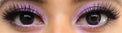 Colorvue 3 tones Violet (2 lenses/pack)-Colored Contacts-UNIQSO