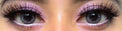 Colorvue Cheerful Carbon Grey (2 lenses/pack)-Colored Contacts-UNIQSO Canada