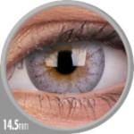 Colorvue Cheerful Carbon Grey (2 lenses/pack)-Colored Contacts-UNIQSO Canada