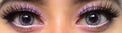 Colorvue Cheerful Creamy White (2 lenses/pack)-Colored Contacts-UNIQSO Canada