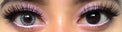 Colorvue Cheerful Creamy White (2 lenses/pack)-Colored Contacts-UNIQSO Canada