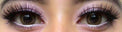 Colorvue Cheerful Woody Brown (2 lenses/pack)-Colored Contacts-UNIQSO Canada