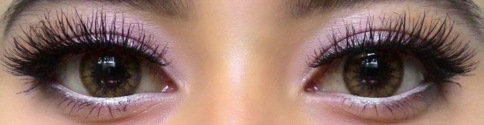 Colorvue Cheerful Woody Brown (2 lenses/pack)-Colored Contacts-UNIQSO Canada