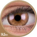 Colorvue Cheerful Woody Brown (2 lenses/pack)-Colored Contacts-UNIQSO Canada