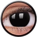 Colorvue Crazy Blackout (2 lenses/pack)-Crazy Contacts-UNIQSO Canada
