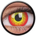 Colorvue Crazy Darth Maul (2 lenses/pack)-Crazy Contacts-UNIQSO Canada