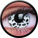 Colorvue Crazy White Leopard (2 lenses/pack)-Crazy Contacts-UNIQSO Canada