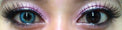 Colorvue Fizzy Frozen Blue (2 lenses/pack)-Colored Contacts-UNIQSO Canada