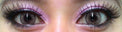 Colorvue Lumina Shining Brown (2 lenses/pack)-Colored Contacts-UNIQSO Canada