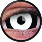 Colorvue Mini Sclera Lens The Doom - 3 Months Disposable (2 lenses/pack)-Mini Sclera Contacts-UNIQSO Canada