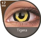Colorvue Mini Sclera Tigera (2 lenses/pack)-Mini Sclera Contacts-UNIQSO Canada
