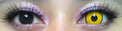 Coscon Crazy with Power - Mad Hatter (1 lens/pack)-Crazy Contacts-UNIQSO Canada