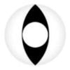Coscon Crazy with Power - Viper (1 lens/pack)-Crazy Contacts-UNIQSO Canada