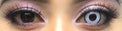 Coscon Crazy with Power - Zombie White (1 lens/pack)-Crazy Contacts-UNIQSO Canada