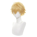 Cosplay Wig - CS 465C-Cosplay Wig-UNIQSO Canada