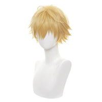 Cosplay Wig - CS 465C-Cosplay Wig-UNIQSO Canada